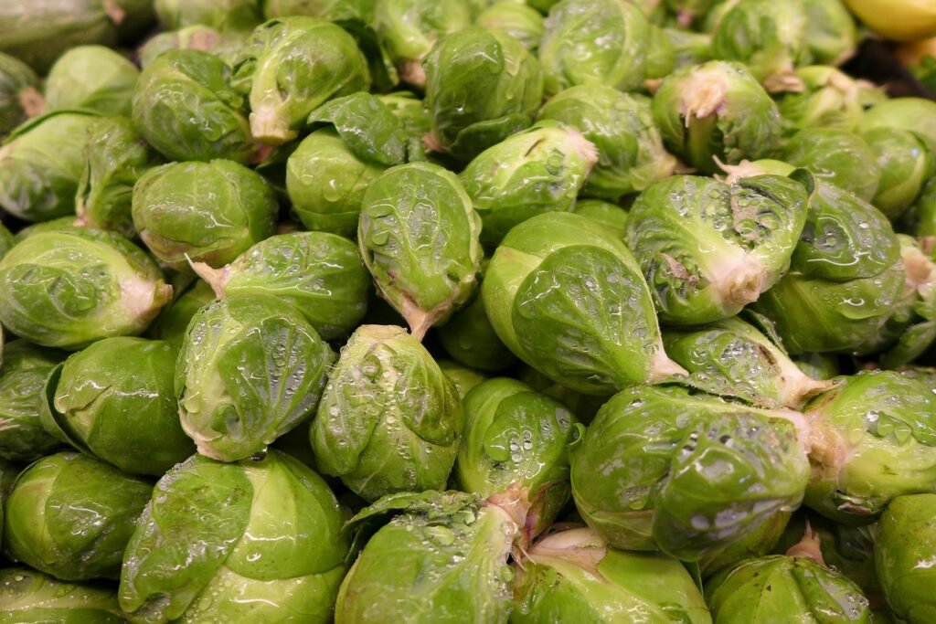 brussel sprouts, vegetable, green, garden, ingredients, nature, brussels sprouts